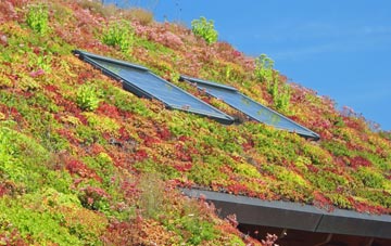 Cribden Side living roof systems