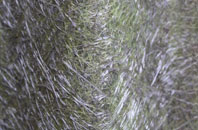 Cribden Side fibreglass roof work